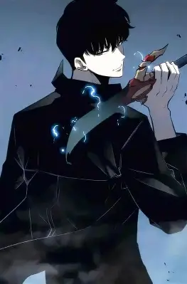 我独自升级漫画封面